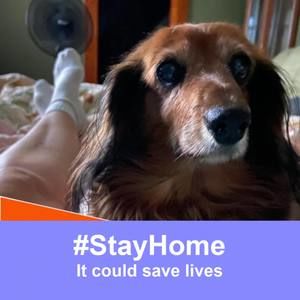 Meet your Posher, Terry